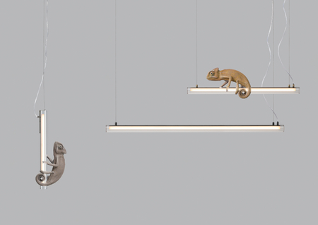 Lampa wisząca OSLO nikiel mat LED 16W 3000K szkło transparentne, ściemnialna