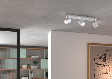 Lampa sufitowa/ścienna GOT R3 biały 3xGU10